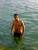 youssef