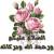 youssef